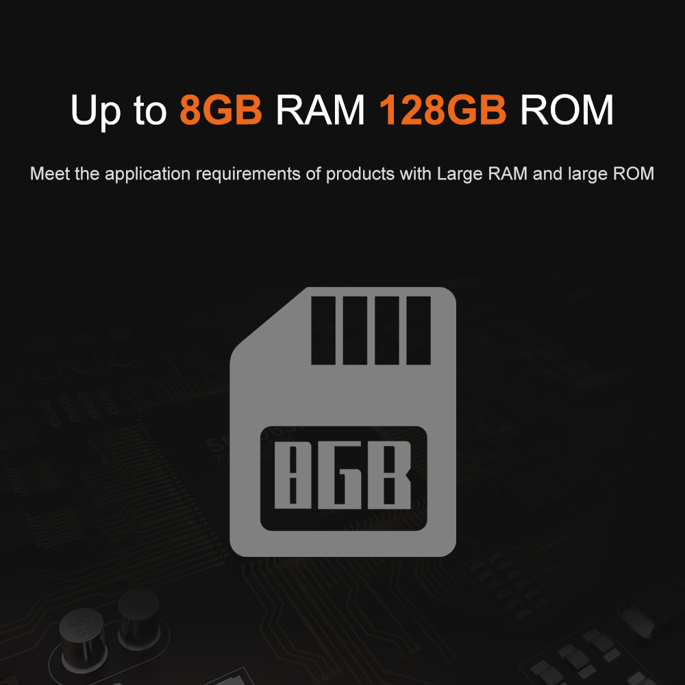 Liontron RK3566 DDR4 8GB RAM A - Open Vending Machine reseña y precio